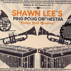 Shawn Lee's Ping Pong Orchestra - Moods and Grooves -Indian Summer