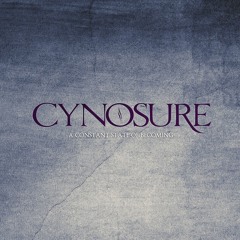 A Constant State of Becoming