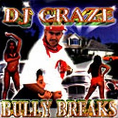 dj craze bully breaks beat 2