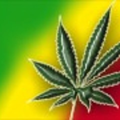 Un morceau de salade : Kermar