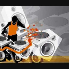 Dj pitkin-house party (2011)