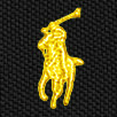 S!kk Beatz (Jham & 99) - P.O.L.O Gang ( Bassnectar vs Young Dro vs Taylor Gang )