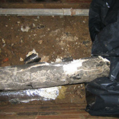 joe panzner - lagged