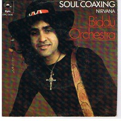Biddu Orchestra - Girl You'll Be A Woman Soon