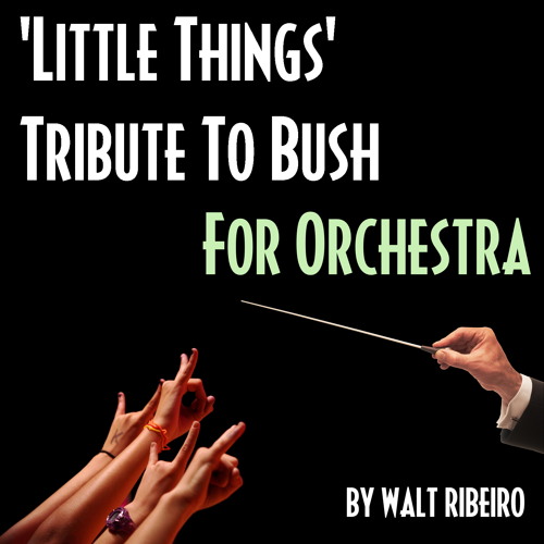 Bush 'Little Things' For Orchestra by Walt Ribeiro