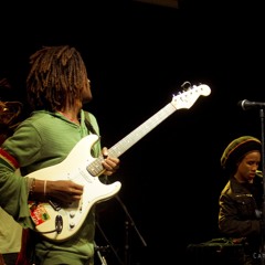 Roots reggae fyah