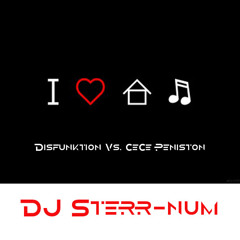 Disfunktion Vs. Cece Peniston- Finally Galette (Dj Sterr-num Bootleg)