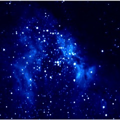 WIKIxZOMBIE I See Stars