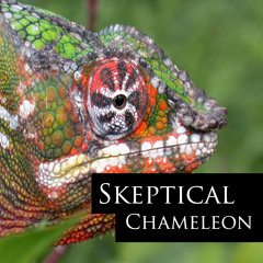 Skeptical - Chameleon