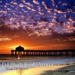 DJ Shah feat. Aruna - Now Or Never (Acoustic Version)