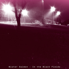 Mister Salmon - In The Black Fields [mp3]