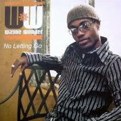 Wayne Wonder No lettin Go (Moombahmash Remix)