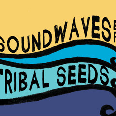 Soundwaves (feat Eric Rachmany of Rebelution)