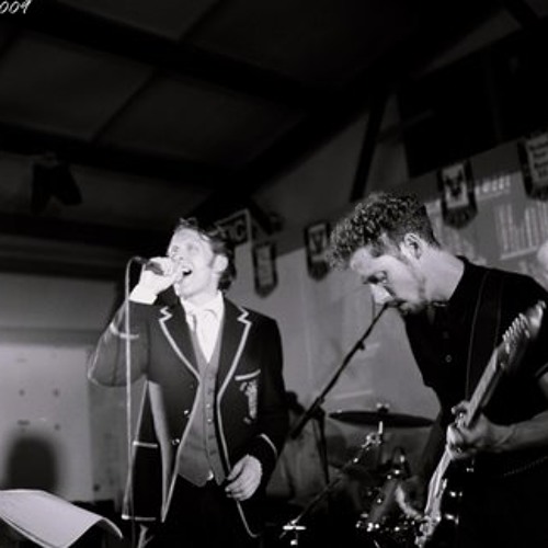 The Wild Swans - Falling To Bits