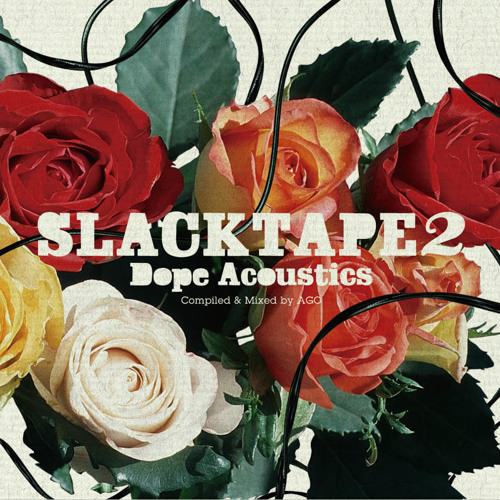 Slacktape-vol2