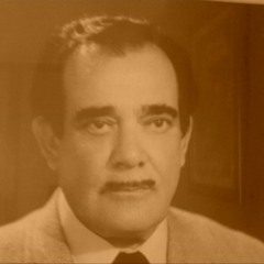 BINALI SELMAN - YOL  HAVASI