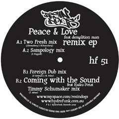 Peace n love - Resin dogs feat. Demolition Man (Foreigndub remix)