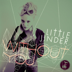 Little Jinder - Without You (Seba remix)