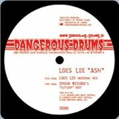 Loes Lee - Ash (Spoon Wizard Remix)