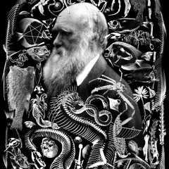 (Australopithecus Anamensis)