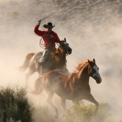 Cowboy // PaulaDaunt