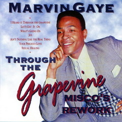 Marvin Gaye-Through The Grapevine (Misco's Rework)