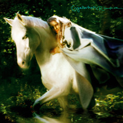 02 - Kokkovirsi [Bonfire Song]