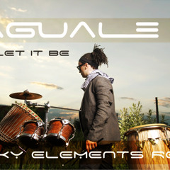 Naguale- Just Let It Be ( Funky Elements Remix )