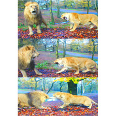 Jason Urick & Cex - Title King 1