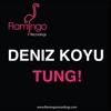 Deniz Koyu - Tung!