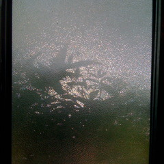 "Hush, Hush" show (Olive Oil Intro)