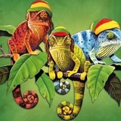 Light and Dirty Practice Session