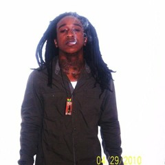 BSBG (Brown Sub Blood Gang)