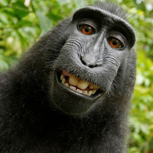 Dark Jungle Drum and Bass