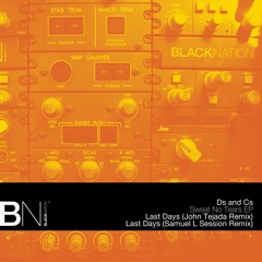 BNR 610 - Ds and Cs - Last Days (John Tejada Remix)