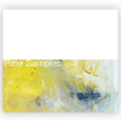 Pete Samples - Awkward Goodbye