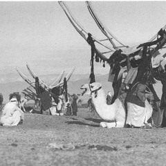 احبها