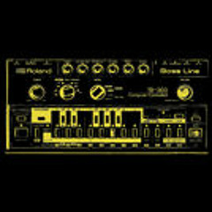 Riddles of the 303 (feat. Microphlexx)