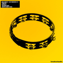 James Barnsley - Acid Tambourine (Tom Demacs Alter Ego Remix)
