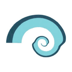 Salt Tank - Eugina (Allende Remix - Edit) [4 Real Communication]