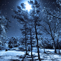 Invectrum - Into the Night