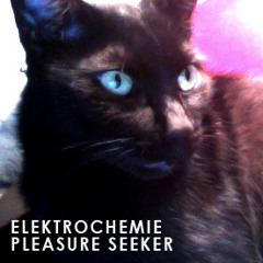 Elektrochemie / Pleasure Seeker