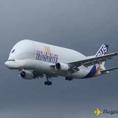 Beluga