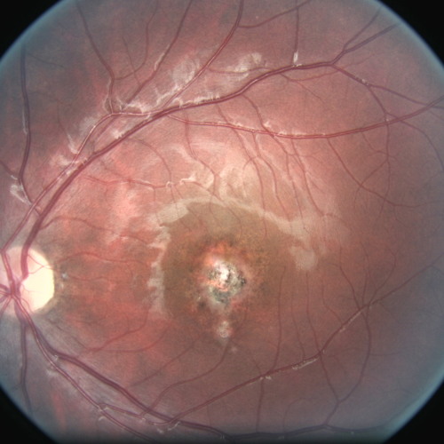 Stream Fink cover Biscuits for breakfast recorded one shot at home