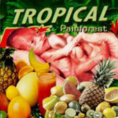 Tropical Painforest - #-?-??