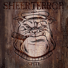 Sheer Terror - Blue Shadows Will Fall