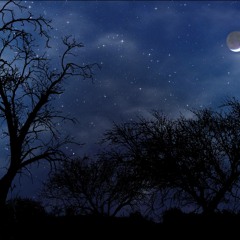 We Run The Night (Senntao Remix)