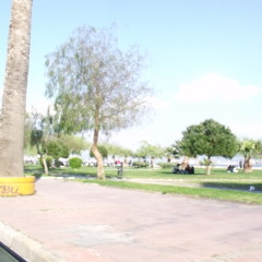 Olaley & What I Can't Describe (Ragga Oktay feat. Transplants) -At Hırsızı mash up