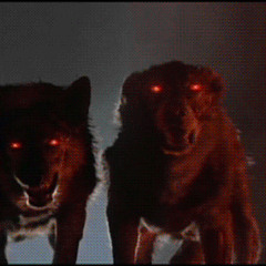 F.O.O.L. | Wastechester Minimix