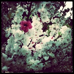 A Preview of recent drone/ambient tracks 2011